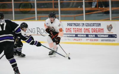 Rhinos Beaten by Brahmas