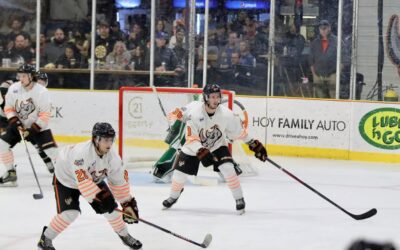 Warriors sweep Rhinos 4-0 in Game 2